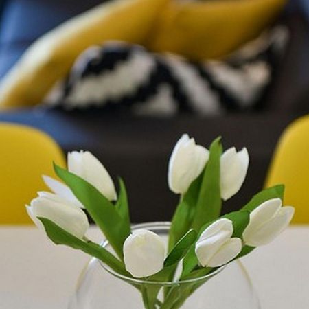 Mediterraneo Garden Apartments Петрчане Номер фото